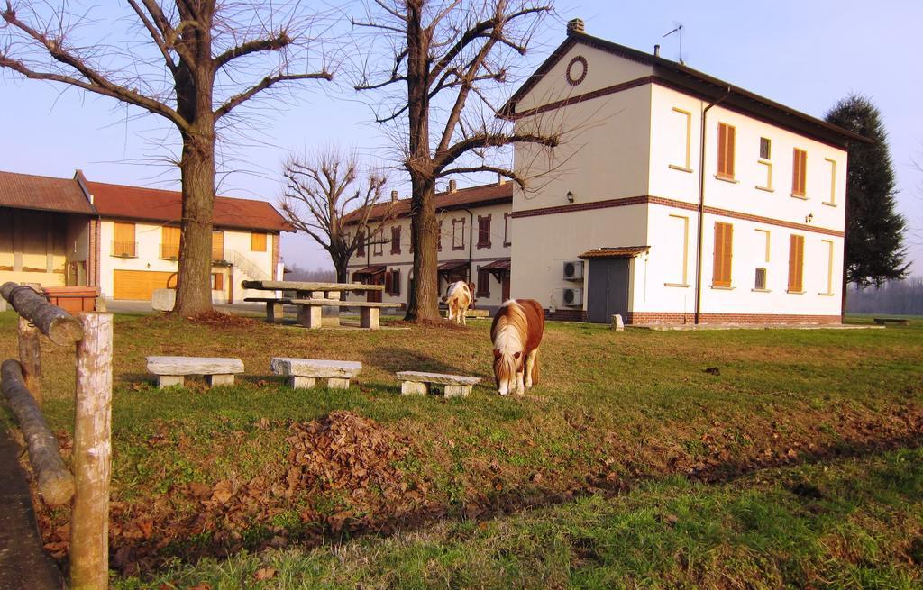 Bed And Breakfast Azienda Agricola Cascina Salazzara Magenta Bagian luar foto