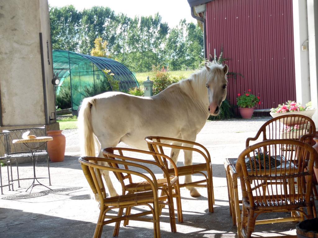 Bed And Breakfast Azienda Agricola Cascina Salazzara Magenta Bagian luar foto